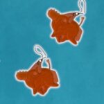 Aros acrilico pochita