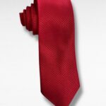 Corbata Roja Lisa